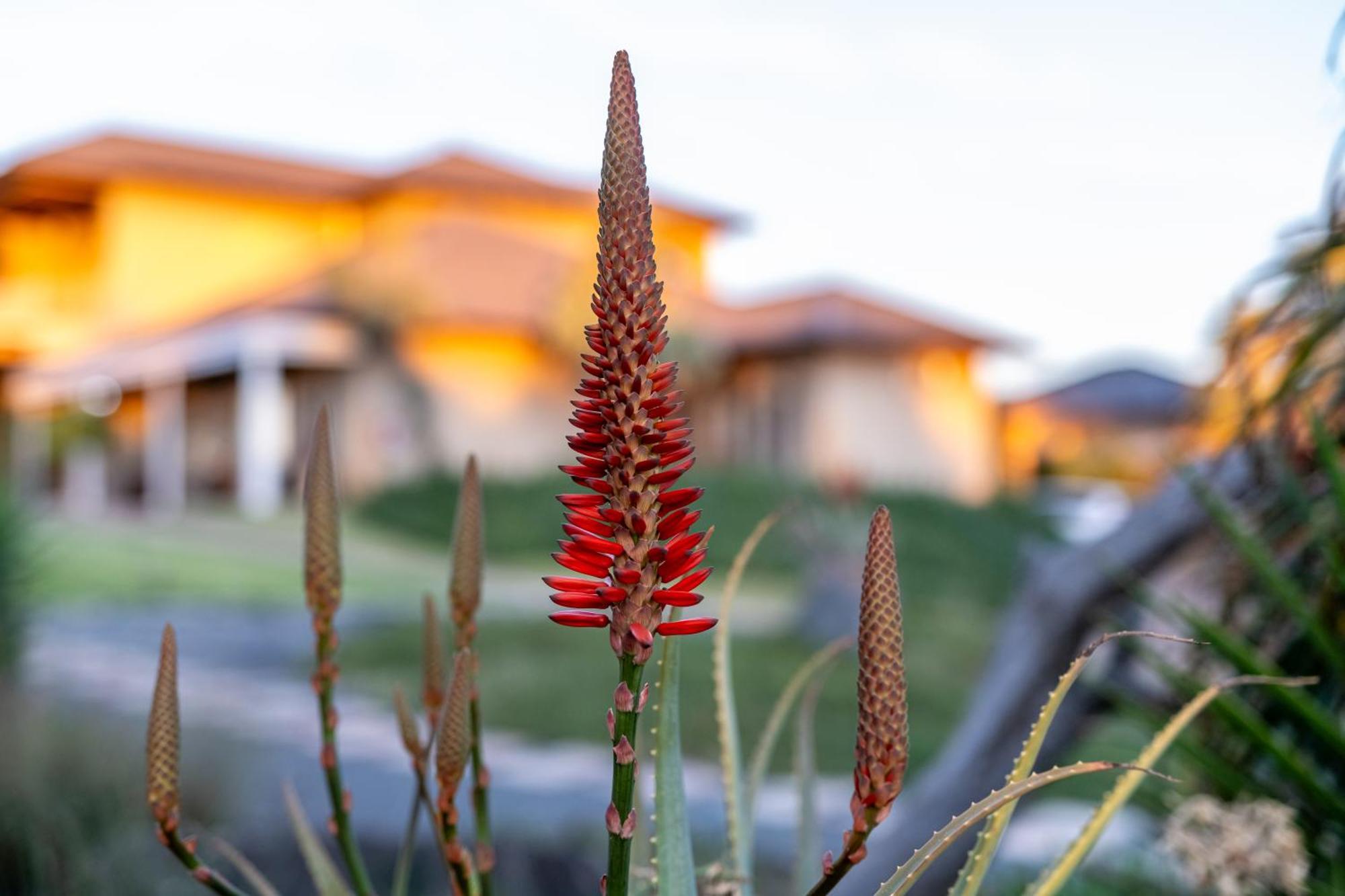 Blue Rain Guest House Bloemfontein Luaran gambar
